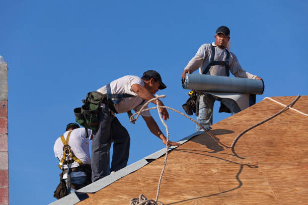 Best Roof Gutter Cleaning  in Thompsonville, PA
