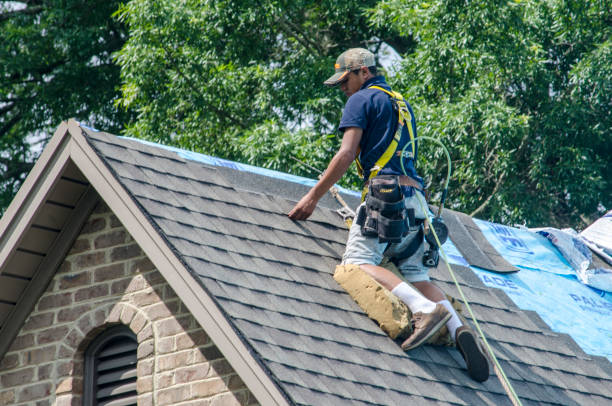 Roof Gutter Cleaning in Thompsonville, PA